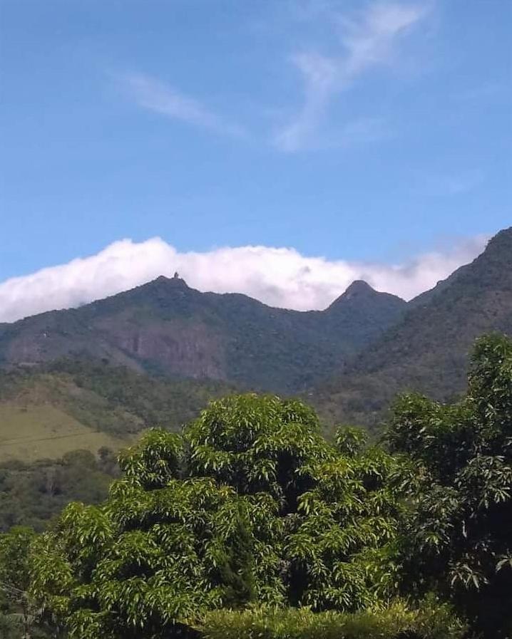 Pousada Sitio Da Floresta 萨纳 外观 照片