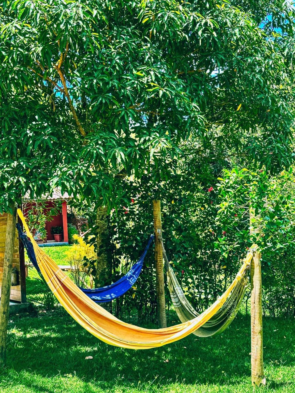 Pousada Sitio Da Floresta 萨纳 外观 照片