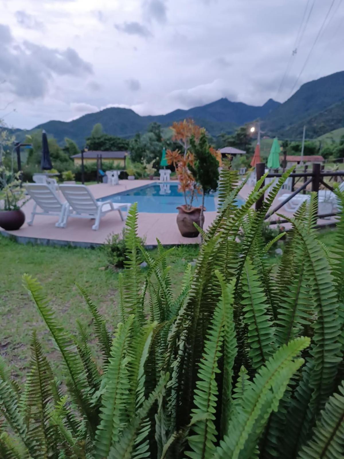 Pousada Sitio Da Floresta 萨纳 外观 照片